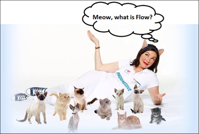 Meow, What is Flow?