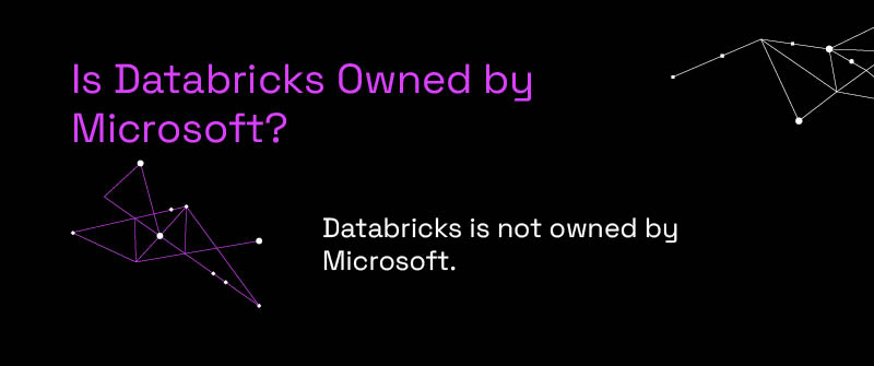 Is Databricks Owned by Microsoft?