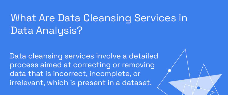 What Are Data Cleansing Services in Data Analysis?