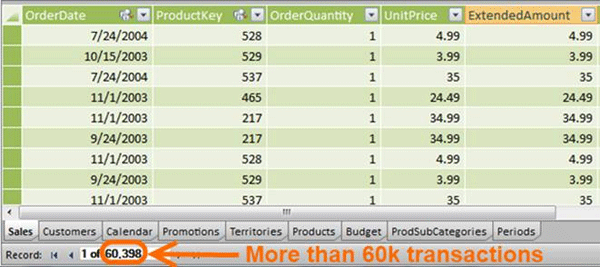 PowerPivot Sales Data Very Granular Day Level