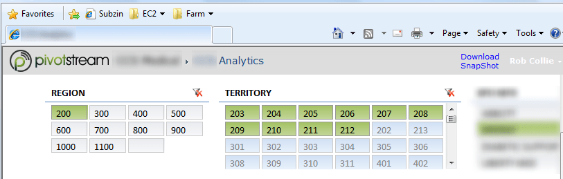 Pivotstream PowerPivot Report Page Zoomed