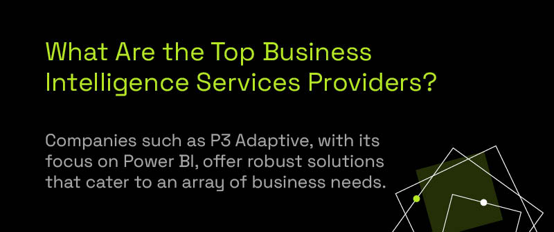 Analysis of Leading BI Service Providers