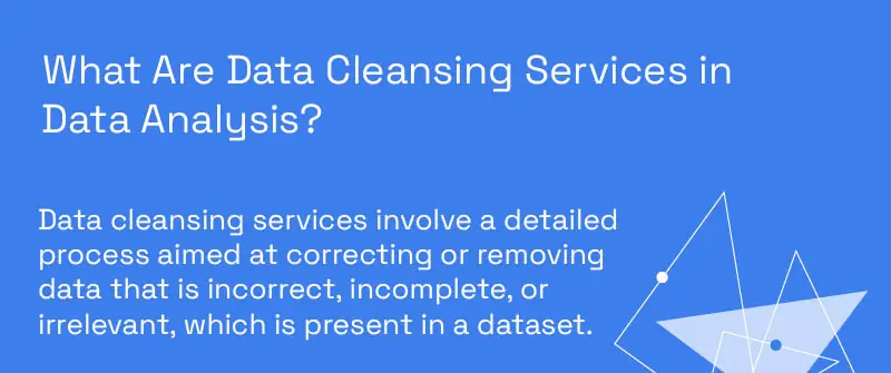 What Are Data Cleansing Services in Data Analysis?